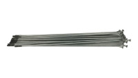 Speiche Beta OEM