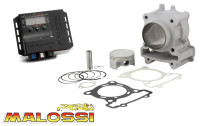 Zylinderkit 183cc & Tuning ECU Malossi