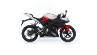 Auspuffanlage Leo Vince SBK Black Line