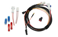 Tuning ECU Malossi
