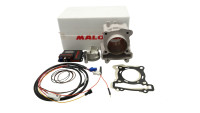 Zylinderkit Malossi